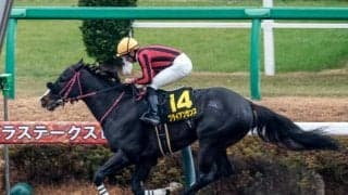 【プロキオンS予想】スピードが問われる舞台で大型馬は不利!? 前走圧勝も過去傾向から評価を下げたい1頭とは