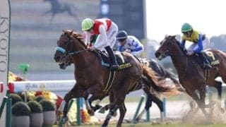 【若駒S】ショウナンハヤナミがデビュー2連勝…大外一気の差し切りV