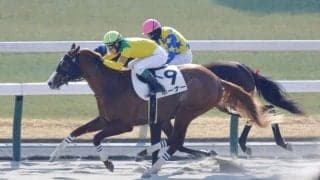 【新馬/京都3R】外国産ホーナーがデビューV…上位人気総崩れの展開