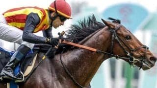 【AJCC前日オッズ】ドゥラドーレスが3.0倍で1番人気