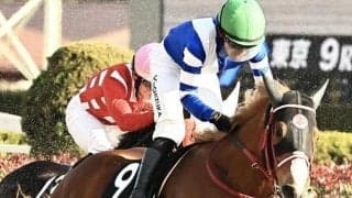 中山ダートは大型馬＆ストームキャット系を狙え 江戸川Sはアジアミッションが波乱呼ぶ