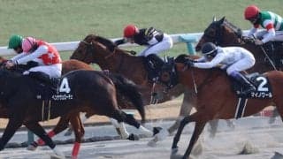 【下鴨S】苦しい展開を跳ね返してアスクシュタインが最内を強襲