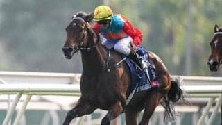 カーインライジングが香港馬最多タイの17連勝へ 日曜にセンテナリースプリントC出走