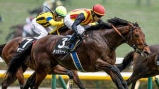 【AI予想・AJCC】前走が負けて強しと言える内容！ 実績のある舞台で悲願の重賞初制覇に期待