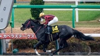 【プロキオンS予想】フェブラリーSの前哨戦 逃げ・先行馬が有利な舞台