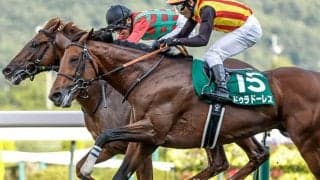 【AJCC予想】上位＆中位人気の組み合わせに妙味あり？ 過去データで探るGII・AJCC