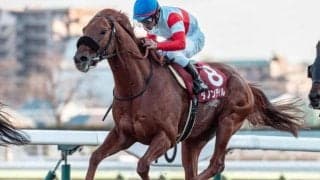 AJCCは上位人気が堅調 血統面ではステゴ系が狙い