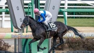 京都ダートは時計がかかる プロキオンSは差し馬に要注意