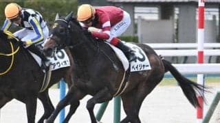 【京都5R新馬戦結果】エピファネイア産駒ペイジャーが人気に応えてV 兄はピクシーナイト