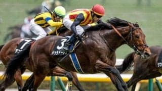 【AJCC・馬体重】ドゥラドーレスは504kg(+6)、ショウヘイは470kg(-2)