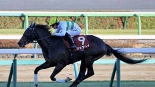 【AJCC】ショウヘイが今年の初陣を制す…重賞2勝目