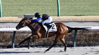 【中山8R】R.キング騎乗 ハードセルツァーが人気に応える快勝