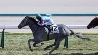 【新馬/中山5R】3連単925万円超！16番人気ヤマニンヘルシェが大波乱を演出