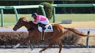 【新馬/中山4R】9番人気の伏兵トーアエレクトラムの豪快な追い込みが炸裂