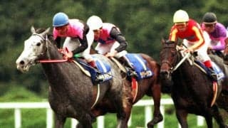 『ウマ娘』でも描かれる同期の良友たちとの熾烈な争い　ビワハヤヒデがリベンジを果たした５馬身差の圧勝劇