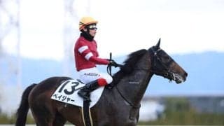 【新馬/京都5R】良血ペイジャーがデビューV…ピクシーナイト半弟