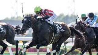 【シルクロードS】エーティーマクフィ、ヤブサメらが登録