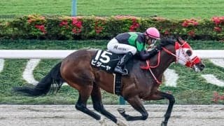 【根岸S】ビダーヤ、エンペラーワケアらが登録