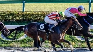 東京開催がスタート 根岸SとシルクロードSの2重賞/今週の競馬界の見どころ