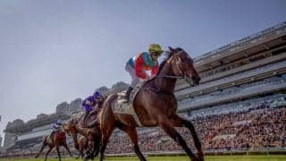 【香港競馬】カーインライジングが怒涛の17連勝…センテナリースプリントカップ