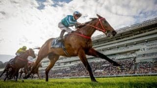 【香港競馬】ロマンチックウォリアー王者対決を制す…スチュワーズカップ圧勝