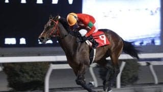 【高知・土佐水木特別】追われても譲らず！クスダマが準重賞2勝目