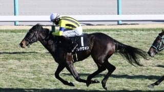 池江泰寿調教師がJRA通算900勝達成