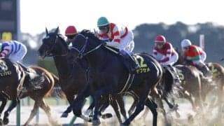 【シルクロードS登録馬】ヤブサメなど22頭