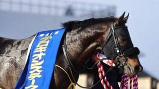 WIN5は612万円超の払戻し…プロキオンSはロードクロンヌが快勝