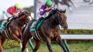 【根岸S見どころ】安定感光るエンペラーワケア