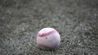 四国IL・徳島にソフトバンクコーチ・細川亨の長男が加入…元NPB選手の息子は関本ジュニアに続き2人目