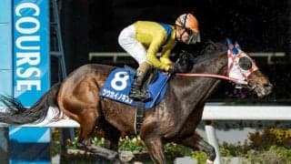 【大井・金盃枠順】トライアルVのツウカイノキズナは5枠9番