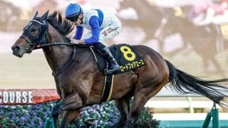 【シルクロードS想定騎手】ロードフォアエースは岩田望来騎手、ヤブサメは武豊騎手