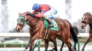 【先週のJRA抹消馬】22年フェアリーS覇者ライラック、ダート4勝のサウンドアレグリアなど