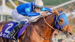 ドウデュースやレモンポップなど 2026年に初年度産駒が生まれる新種牡馬を紹介