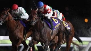 【AI予想・根岸S】フェブラリーSに直結する重要な一戦！ 近走の敗因が明確な人工知能の本命候補