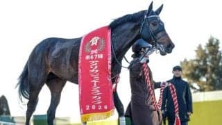 ショウヘイがAJCCを制覇 サートゥルナーリア産駒の活躍馬に共通する血統背景とは