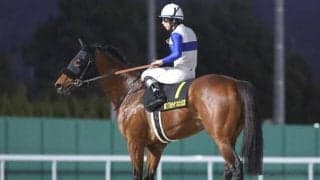 【根岸S展望】距離短縮ローテと中団待機策が好走の鍵、ロードフォンスのJRA重賞初Vに期待