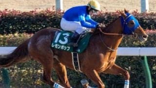 今年初産駒が誕生 レモンポップが重賞初制覇した23年の根岸S