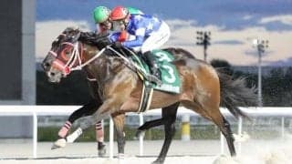 名古屋競馬2025年度表彰発表…ケイズレーヴら6頭が受賞、角田輝也師は151勝で2冠