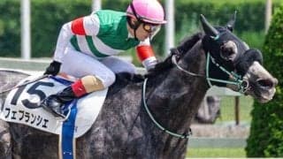 C.ルメール騎手が地方所属馬での中央重賞初制覇なるか 根岸Sでフェブランシェと再タッグ