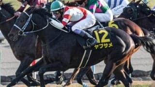 【シルクロードS】武豊騎手が9年ぶり3勝目なるか 淀短距離S覇者のヤブサメで参戦