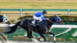 【根岸S予想オッズ】ウェイワードアクトが予想1番人気