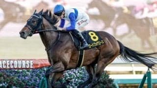 【シルクロードS予想オッズ】ロードフォアエースが予想1番人気