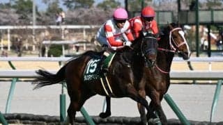 【シルクロードS展望】前走GII組から距離短縮のダノンマッキンリーに注目