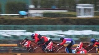 フォーエバーヤング、サウジC追い切り速報/栗東トレセンニュース