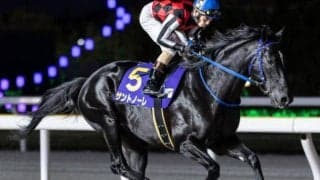 【根岸S】横山典弘騎手が地方所属馬で中央重賞初参戦 大井のサントノーレと初タッグだ