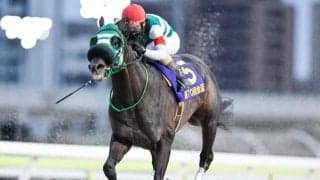 【大井・金盃結果】グリューヴルムが差し切って重賞初制覇