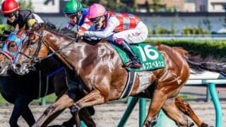 【シルクロードS】横山武史騎手が京都の重賞初勝利なるか カルプスペルシュで挑む