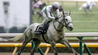 「鬼は外、福は内」 節分Sも外枠が鬼門で内枠に福あり!?